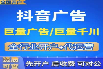 百度竞价广告投放策略：案例分析及效果评估