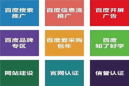 竞价广告投放策略，代运营公司的成功实践